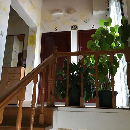 Apartments Upitnik تْشيرسيك نوفي المظهر الخارجي الصورة