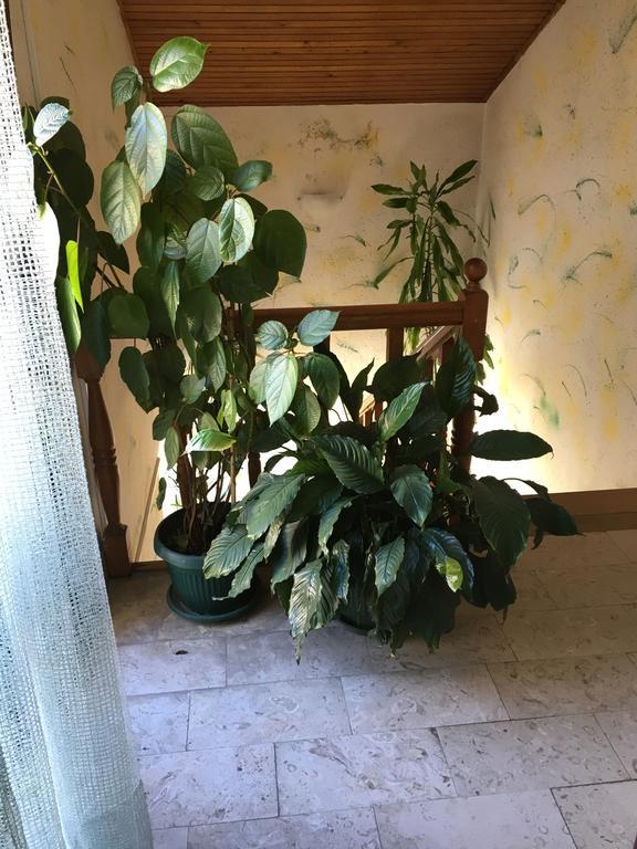 Apartments Upitnik تْشيرسيك نوفي المظهر الخارجي الصورة